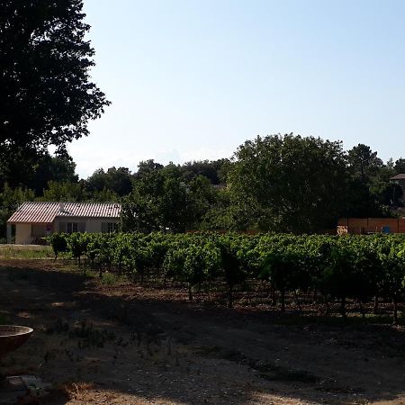 La Petite Maison Dans Les Vignes Chamaret Exterior photo